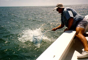 Florida Keys permit fishing