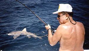 shark fishing